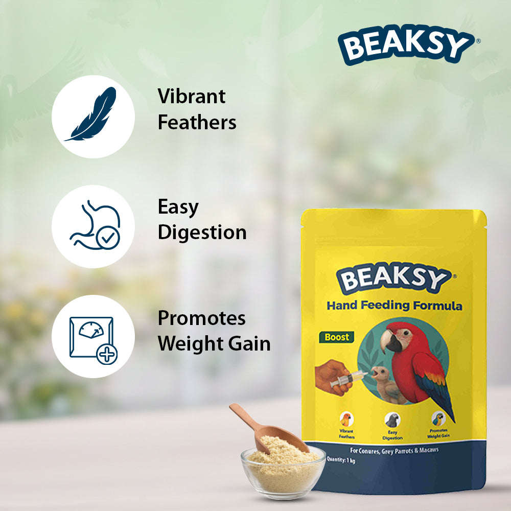 BEAKSY BOOST
