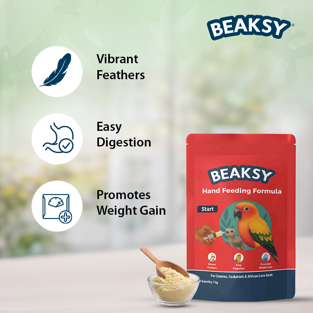 BEAKSY START