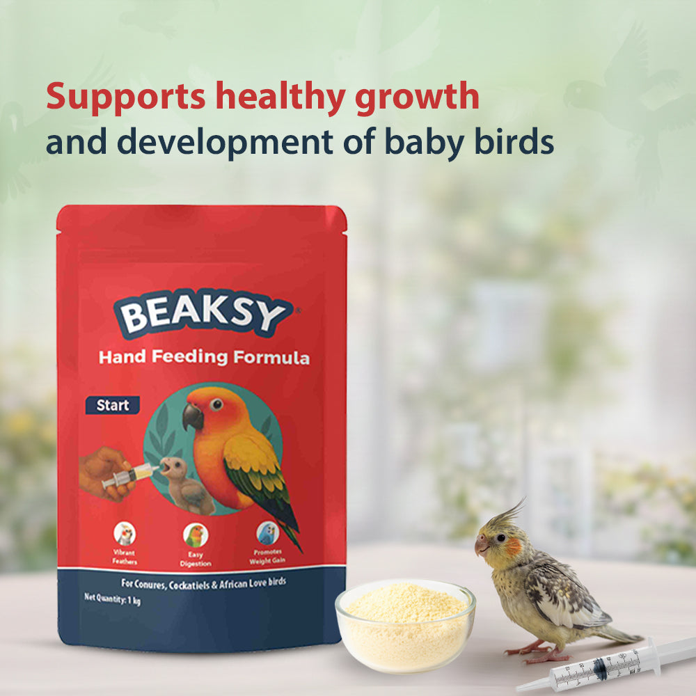 BEAKSY START