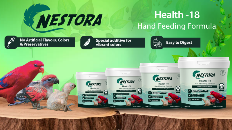 Nestora Hand Feeding Formula | CK Pets World
