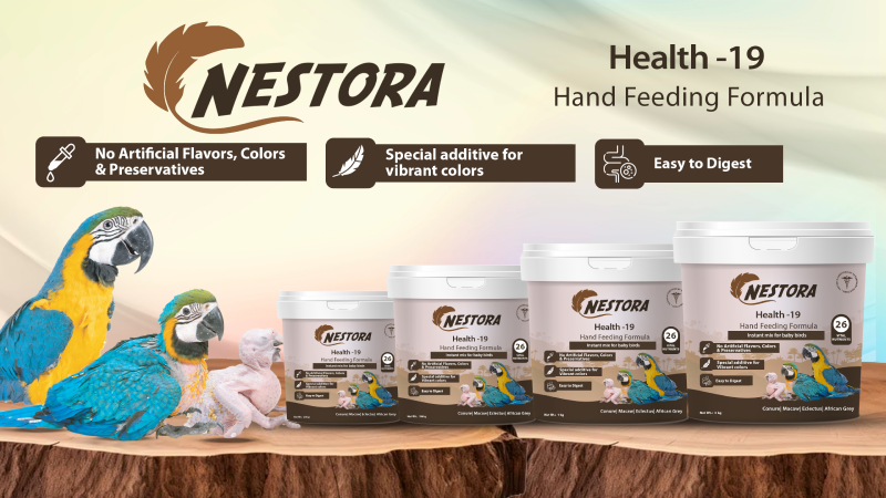 Nestora Hand Feeding Formua | CK Pets World