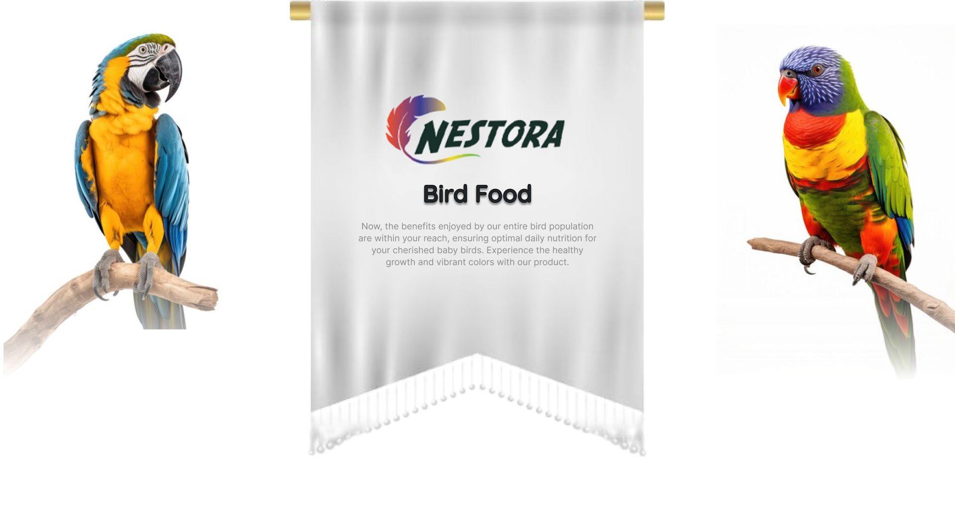 Nestora Hand Feeding Formula