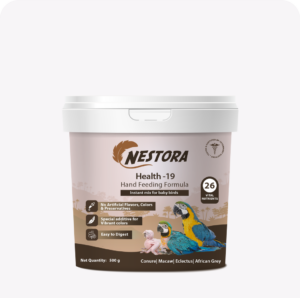 Nestora Health-19 Hand Feeding Formula 500G