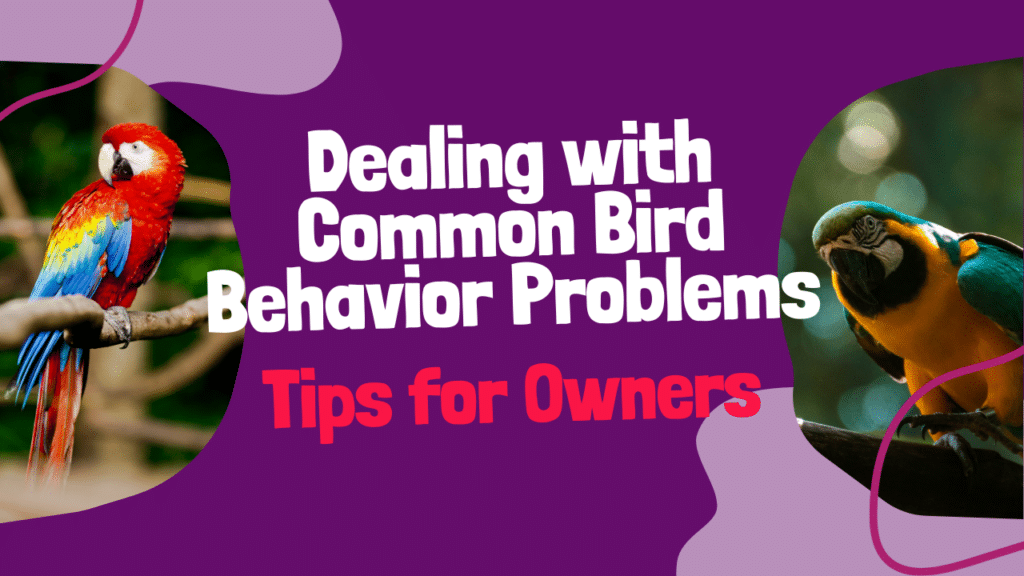 Birds Behavior Problems