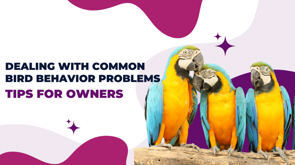 Dealing with Common Birds Behavior Problems: Tips for Owners 