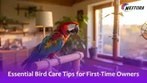 Essential Bird Care Tips for First-Time Owners