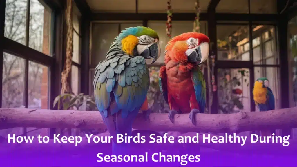 How to Keep Your Birds Safe and Healthy During Seasonal Changes