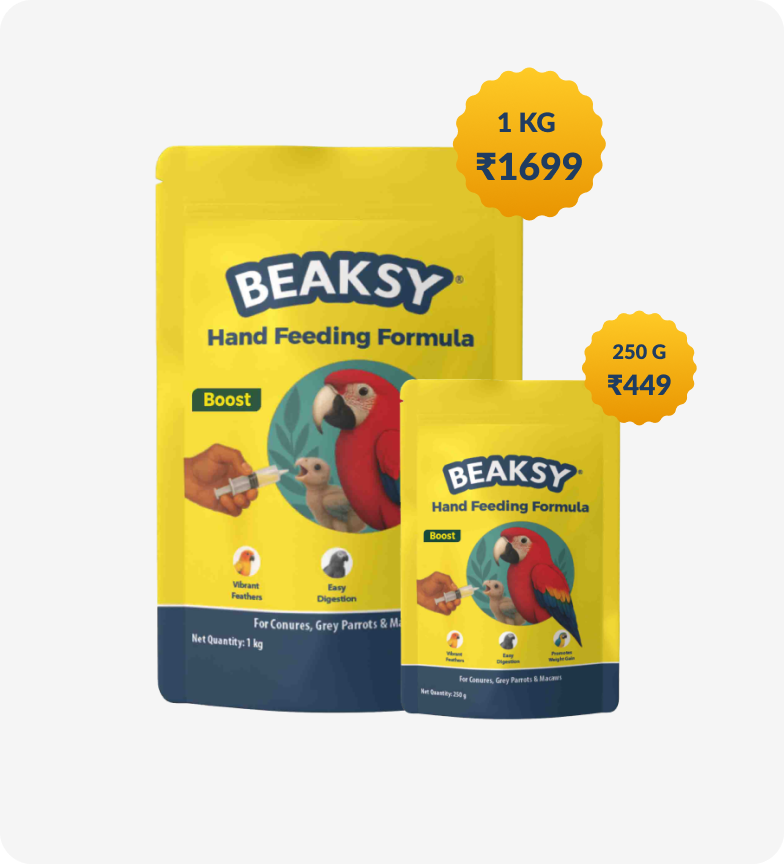 Beaksy Hand Feeding Formula Boost packet