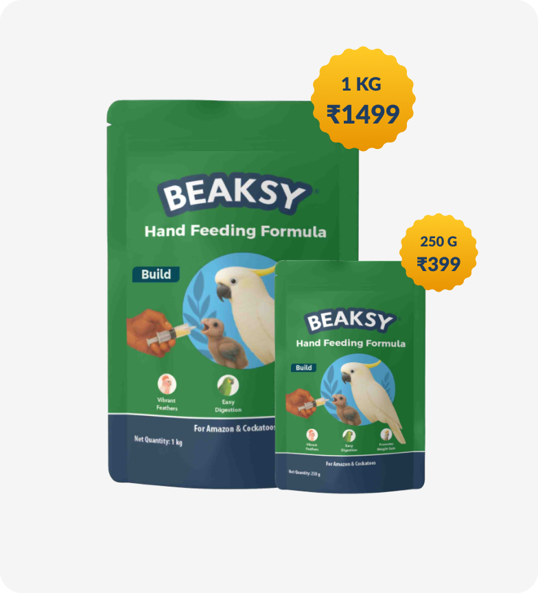 Beaksy Hand Feeding Formula Build pack