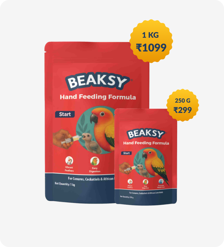 Beaksy Hand Feeding Formula Start pack