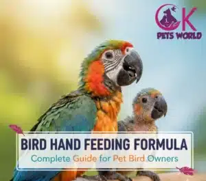 Bird Hand Feeding Formula