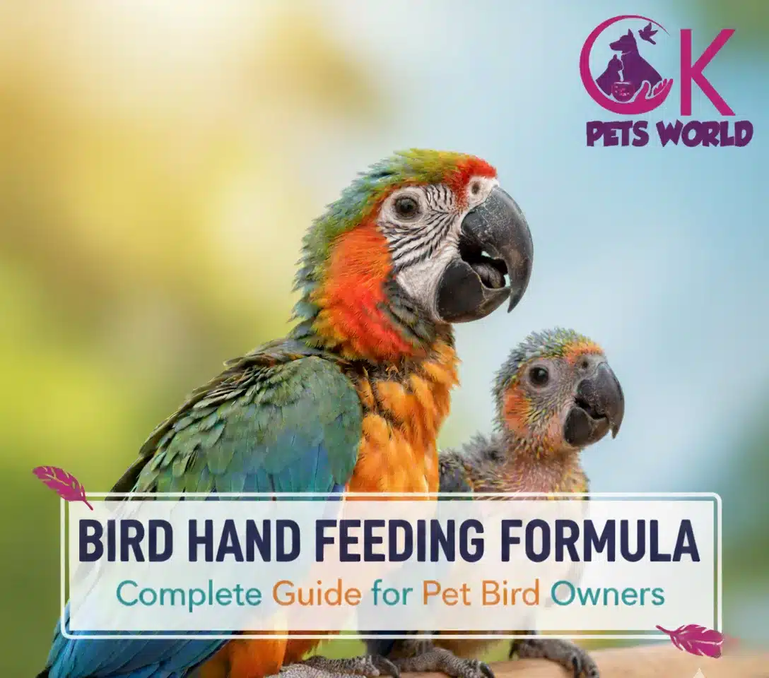 Bird Hand Feeding Formula