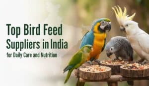 Bird Feed Suppliers