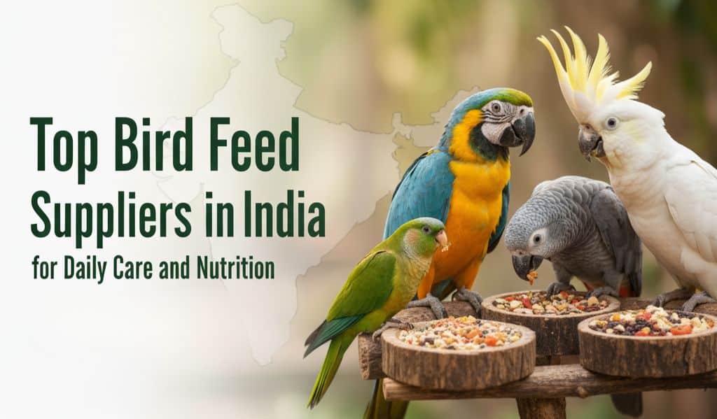 Bird Feed Suppliers