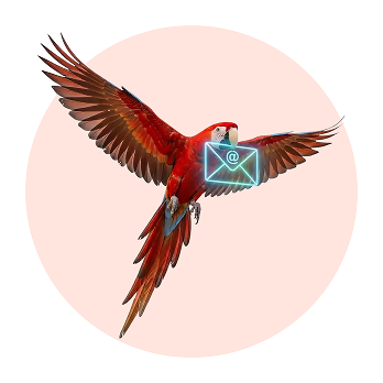 scarlet macaw flying with email