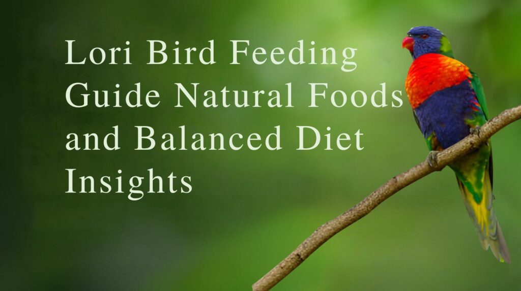 Lori Bird Feeding Guide Natural Foods and Balanced Diet Insights