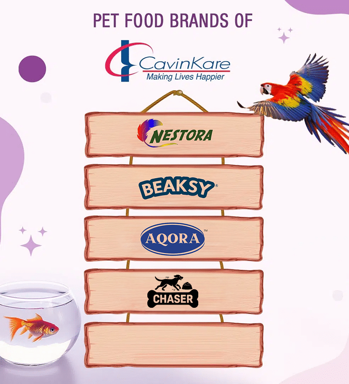 Ckpets Brands